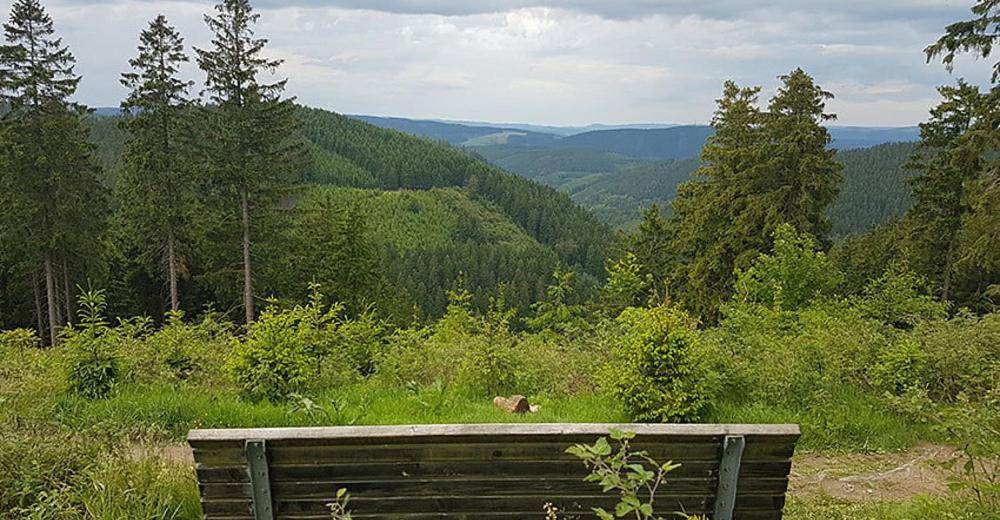 Ferienhaus Astenblick - Ideal Fuer Weihnachtsfeiern Und Familienfeiern Bietet Schlafplaetze Fuer Bis Zu 35 Personen Villa Winterberg Luaran gambar